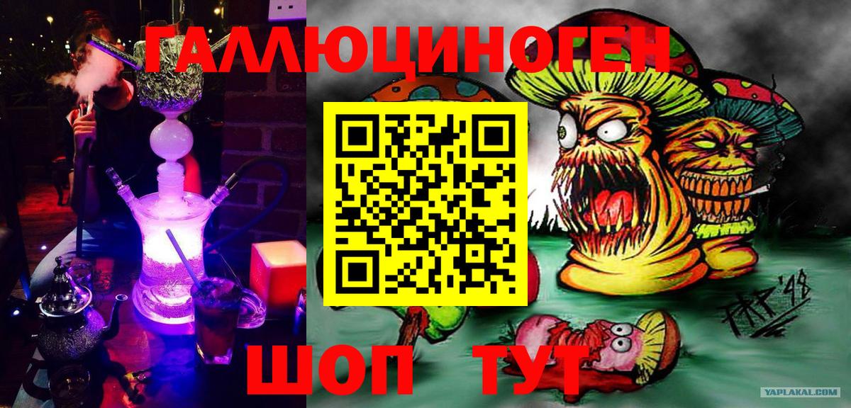Псилоцибиновые грибы Psilocybe  Вход с VPN  Можайск 