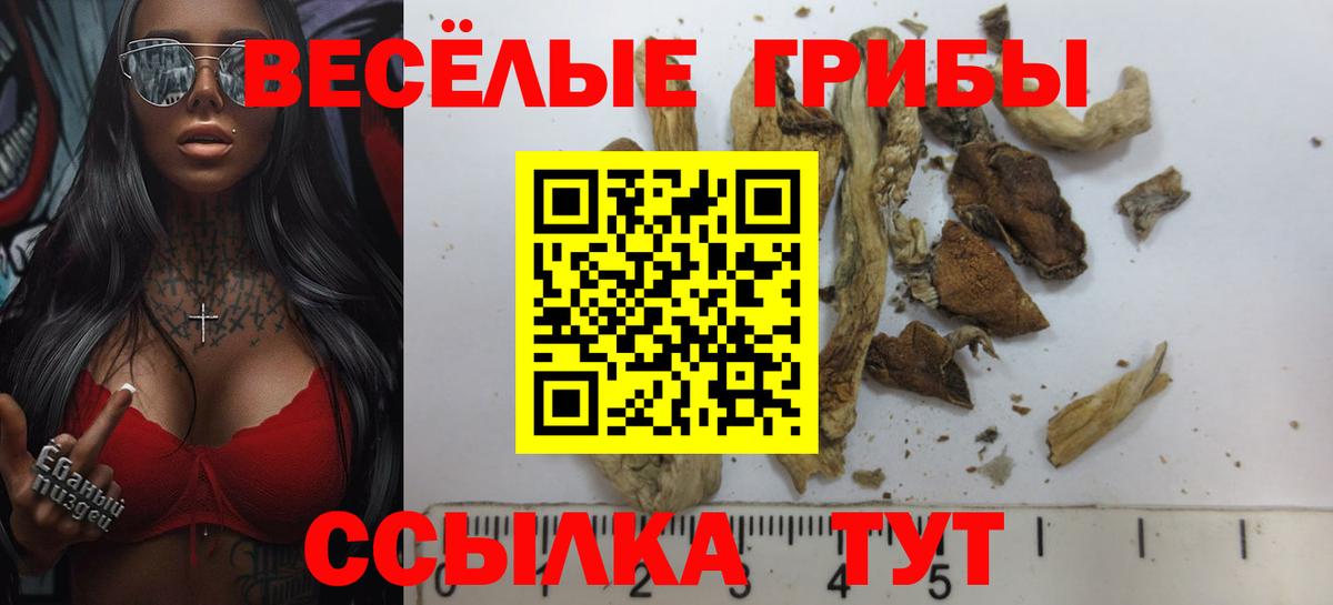 Галлюциногенные грибы Magic Shrooms Можайск